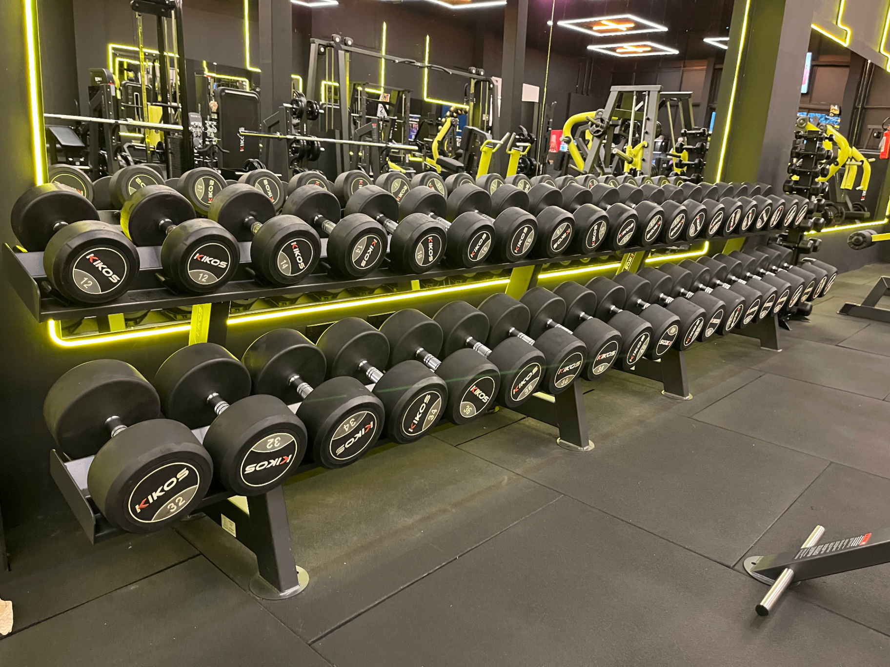 Área de pesos da academia One More